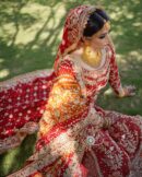 Gorgeous MS Bride Henna